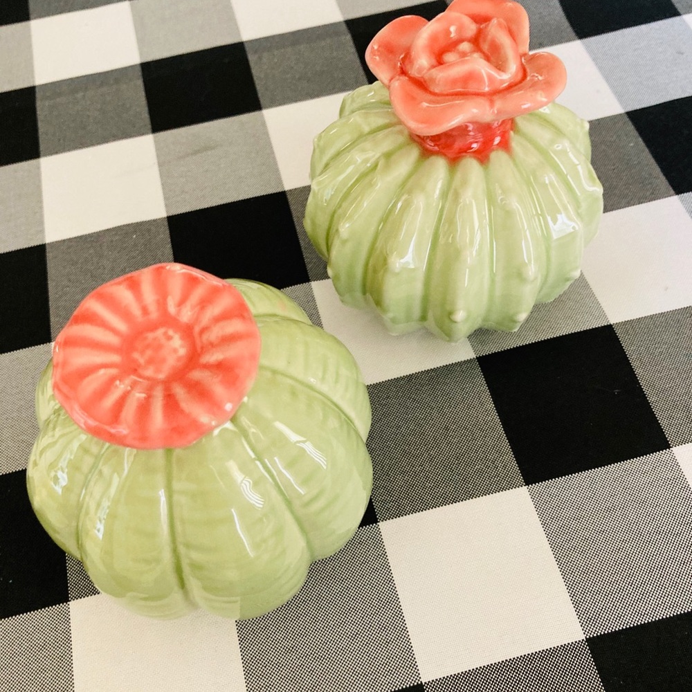 Set of two cactus